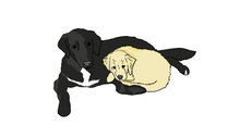 Load image into Gallery viewer, Custom Illustration