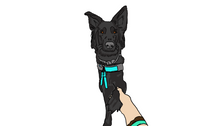 Load image into Gallery viewer, Custom Illustration