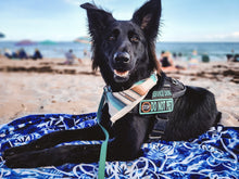 Load image into Gallery viewer, Rainbow Twill Bandana
