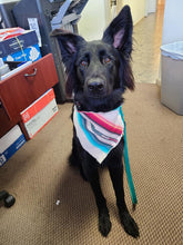 Load image into Gallery viewer, Rainbow Twill Bandana
