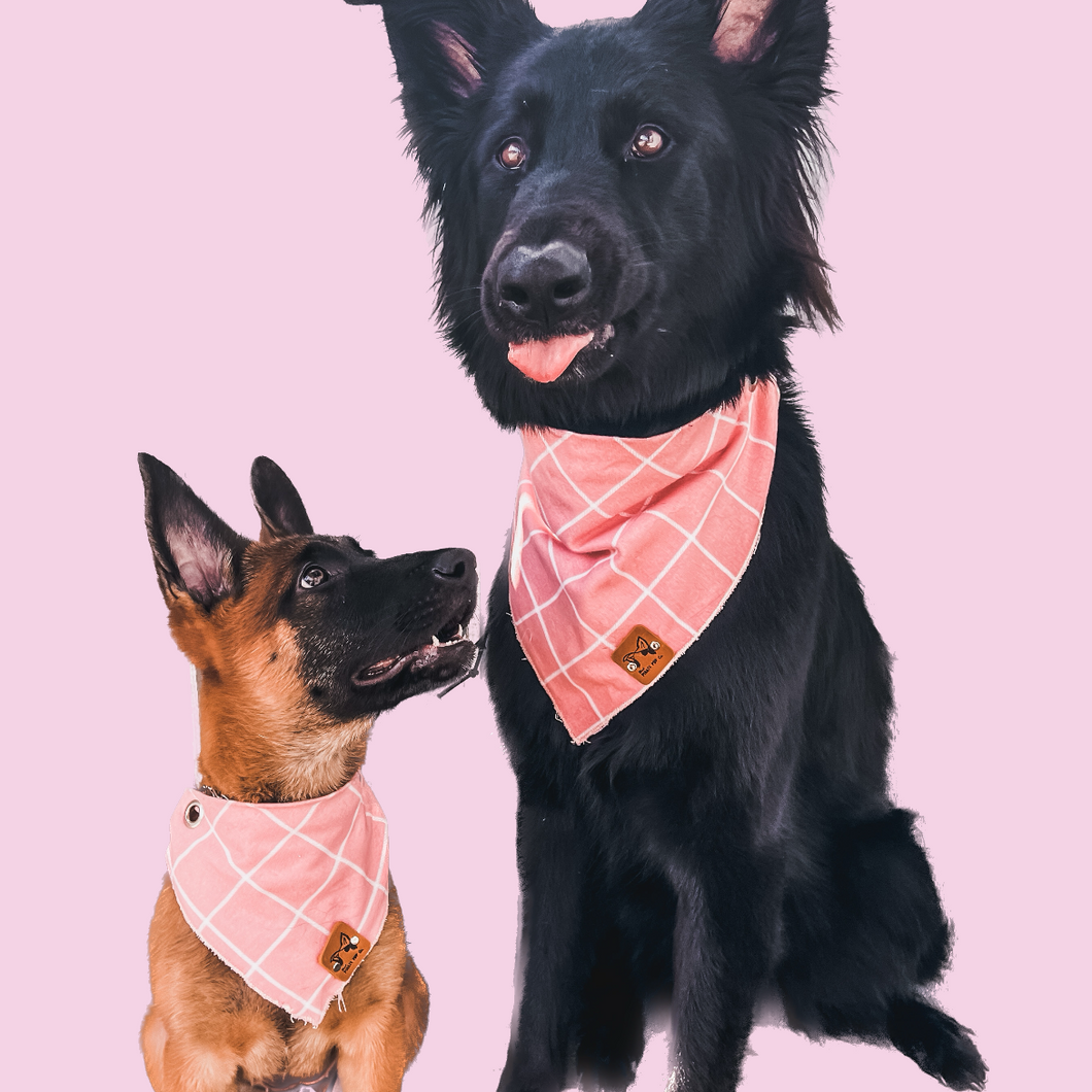 CLASSIC PINK LOVE