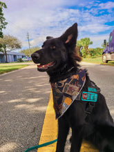 Load image into Gallery viewer, Reading Buddies Bandana
