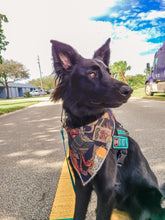 Load image into Gallery viewer, Reading Buddies Bandana
