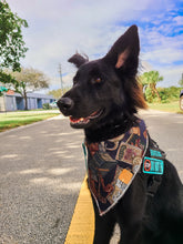 Load image into Gallery viewer, Reading Buddies Bandana
