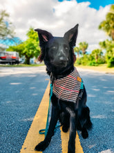 Load image into Gallery viewer, Zara's Burberry Style
