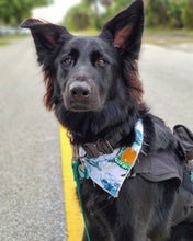 Load image into Gallery viewer, Turtlely Cute Bandana
