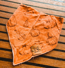 Load image into Gallery viewer, O.G. Pumpkin Patch
