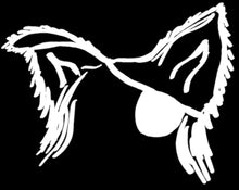 Load image into Gallery viewer, Die Cut Decal/ Sticker
