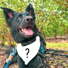 Load image into Gallery viewer, Mystery Bandana
