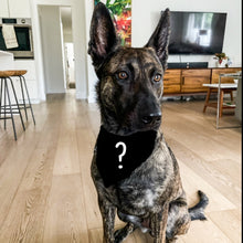 Load image into Gallery viewer, Mystery Bandana
