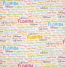 Load image into Gallery viewer, [LIMITED EDITION] Florida Cities
