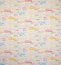 Load image into Gallery viewer, [LIMITED EDITION] Florida Cities
